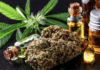 Природний соноген: чи здатна CBD олія подолати безсоння?